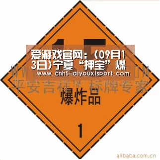  爱游戏官网：(09月13日)宁夏“押宝”煤化工