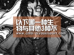  爱游戏官网