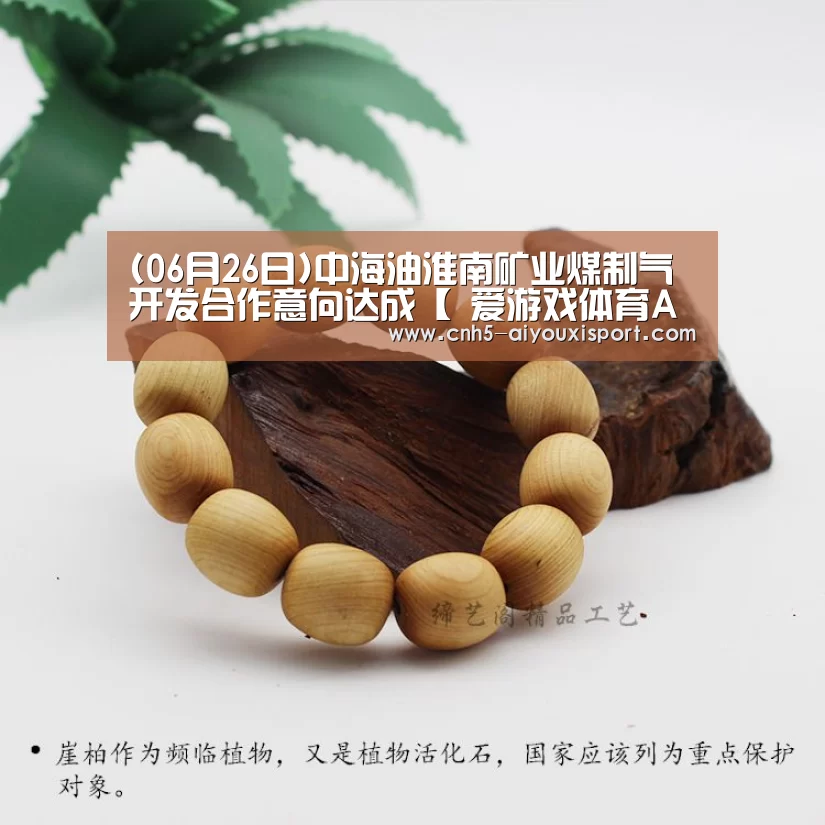 (06月26日)中海油淮南矿业煤制气开发合作意向达成【 爱游戏体育App下载】(图2) 爱游戏体育App下载
