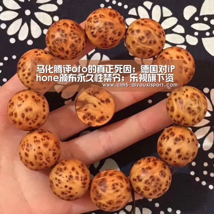 马化腾评ofo的真正死因;德国对iPhone颁布永久性禁令;乐视旗下资产遭拍卖|雷锋早报‘爱游戏体育’(图1) 爱游戏官网