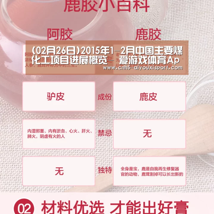 (02月26日)2015年1-2月中国主要煤化工项目进展概览