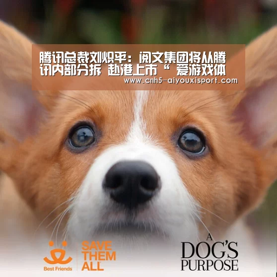  爱游戏官网